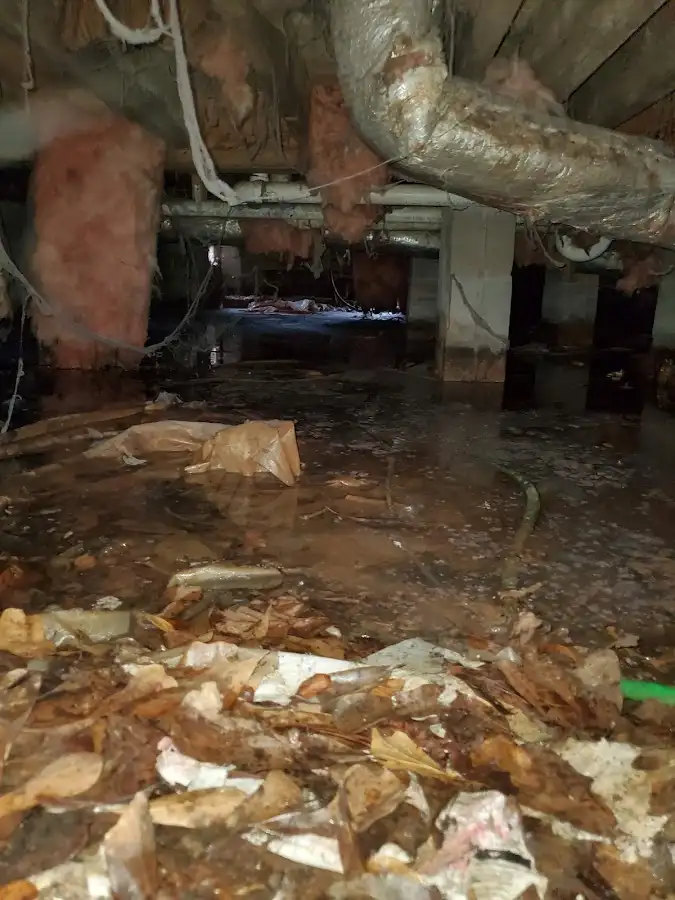 Crawl space flood assessment for Commercial Water Damage Restoration in Olivette