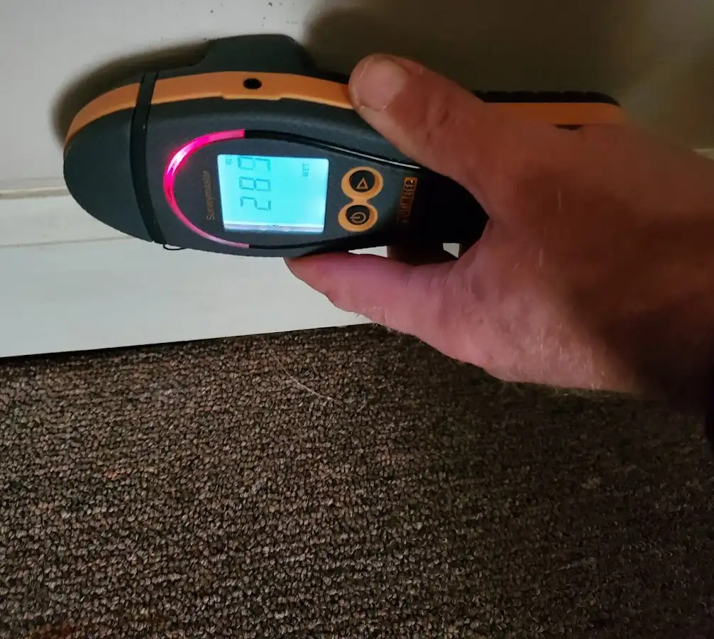Moisture detection at baseboard during Sewage Cleanup & Sanitation in Olivette